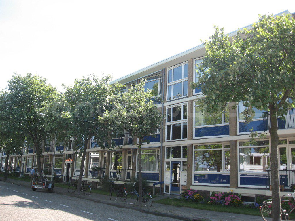 Clematis - Van der Vlugt Velserbroek